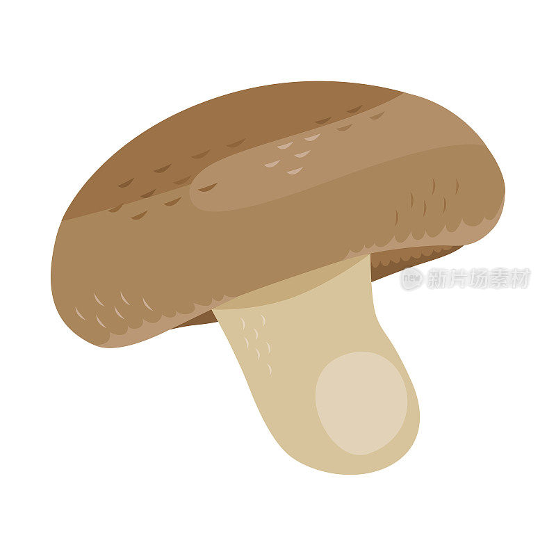 Illustration of autumn seasonal mushrooms.In Japan shitake.